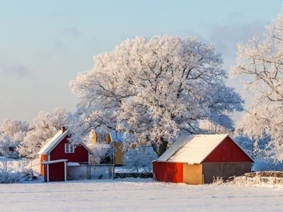 Đến Thụy Điển trải nghiệm… du lịch ngủ