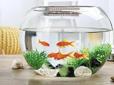 Vật phẩm phong thủy để bàn làm việc được tìm kiếm nhiều dịp đầu năm