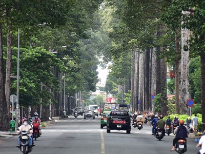 TP.HCM “đổi khí hậu”, buổi sáng se lạnh như cao nguyên