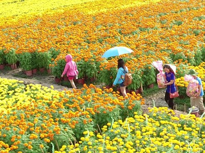 Du lịch Việt Nam với bài toán chuyển đổi mô hình bền vững