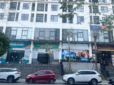 Vì sao nhiều người lựa chọn đi chung xe về quê dịp Tết Nguyên đán?