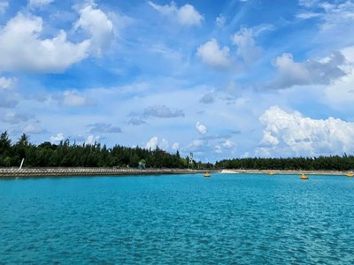 Việt Nam tham gia Hiệp ước Biển cả, thể hiện trách nhiệm đối với bảo tồn đa dạng sinh học biển 