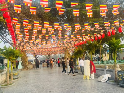 Vì sao ngày càng nhiều người chọn du lịch dịp Tết?