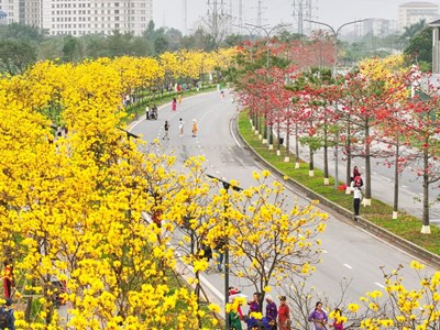 Khi phong linh biến những góc phố thành “tọa độ săn ảnh”