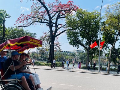 Khi AI “lên lịch thay người”: Thách thức không nhỏ cho tour truyền thống 