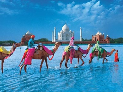 Ấn Độ chuyển sang khai báo nhập cảnh online, khách Việt cần làm gì?