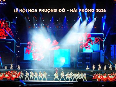 Vì sao Lễ hội Hoa Phượng Đỏ ngày càng hút khách?