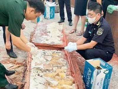Gần 1,2 tấn ngà voi: Người tiêu dùng và trách nhiệm với động vật hoang dã