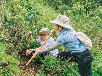 Phát động Chương trình Rừng xanh lên năm 2024 