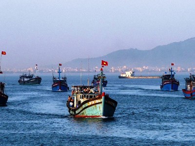 Đề xuất lắp đặt VMS đối với tàu cá có chiều dài từ 12 m đến 15 m