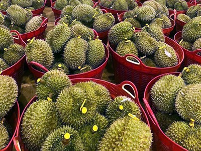 Khi nông sản là thương hiệu...