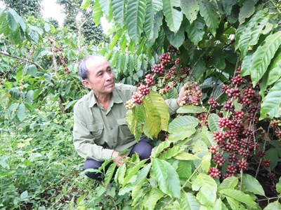 Siết chặt trách nhiệm canh tác