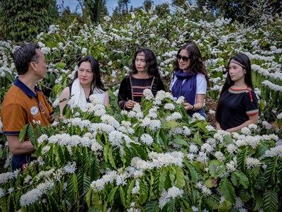 Đắk Lắk phát triển du lịch từ chiều sâu sản phẩm