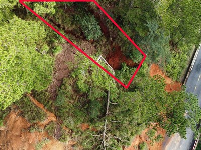 Chủ tịch Lâm Đồng kiểm tra vụ ngọn đồi nứt toác trên đèo D’Ran