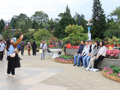 Lâm Đồng: Doanh thu ​từ du lịch dịp Tết Dương lịch đạt 1.200 tỉ đồng