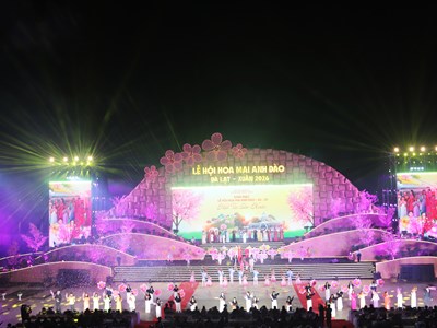 Lâm Đồng: Khai mạc Lễ hội Hoa mai Anh đào Đà Lạt