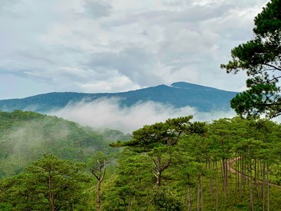 Vườn Quốc gia Bidoup – Núi Bà, điểm du lịch sinh thái rừng không thể bỏ qua trên Cao nguyên Lang Biang