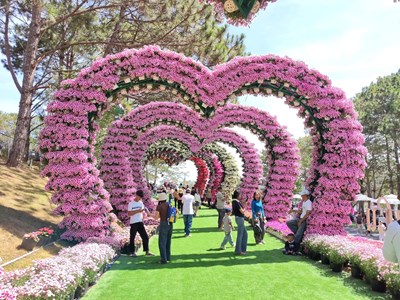 Lâm Đồng triển khai chương trình kích cầu du lịch năm 2026, thu hút gần 40 doanh nghiệp 