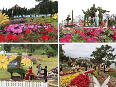 Festival Hoa Đà Lạt lần thứ 11: Bản giao hòa của sắc hoa và âm nhạc
