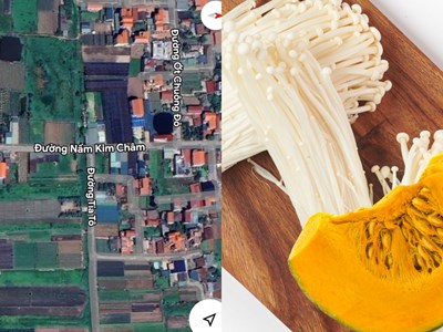 Kỳ lạ những con đường tên Nấm Kim Châm, Bí Đỏ,... tại Hà Nội