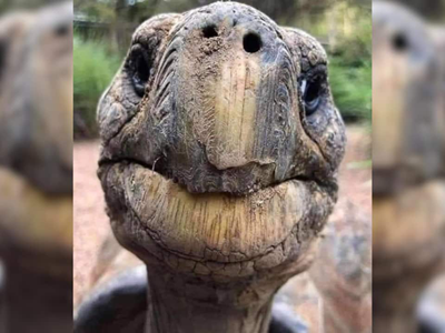 Con vật già nhất hành tinh