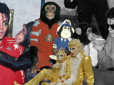 Con tinh tinh có cuộc đời xa hoa nhất thế giới, từng theo Michael Jackson tiệc tùng thâu đêm, hiện tại khiến ai cũng sững sờ