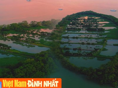 Sự thật về dải cù lao xanh mướt như đồ họa AI tại Cần Thơ