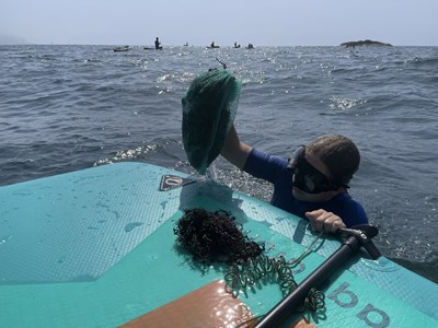 Hơn 1.500 người lên rừng xuống biển nhặt rác, chung tay xây dựng điểm đến du lịch xanh Sơn Trà