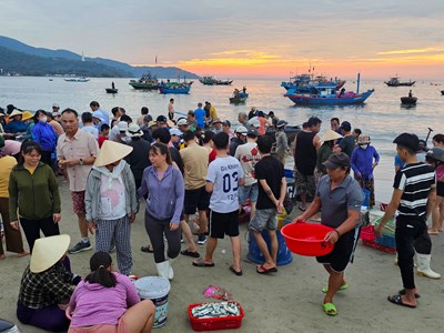 Khám phá chợ hải sản trên bãi biển Đà Nẵng lúc bình minh