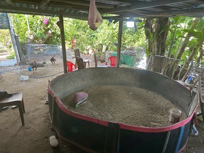 Triệt xóa tụ điểm cá độ đá gà quy mô lớn tại Đà Nẵng