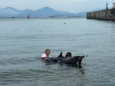 Giải cứu cá heo mắc cạn tại khu vực cảng Tiên Sa