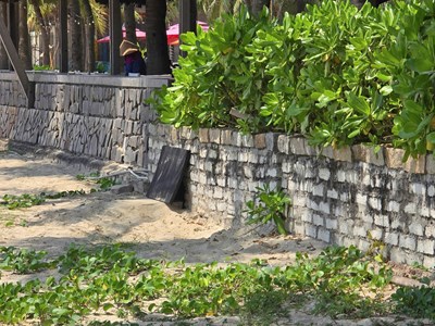 Xả thải gây mùi hôi ven biển, một resort ở Đà Nẵng bị phạt hơn 224 triệu đồng