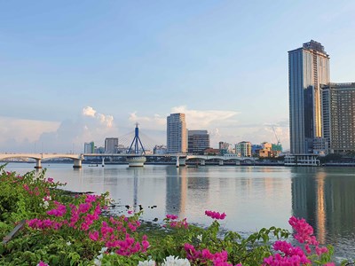 Thành lập Khu thương mại tự do thành phố Đà Nẵng