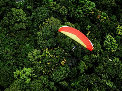 Tạm dừng hoạt động bay dù lượn tại bán đảo Sơn Trà
