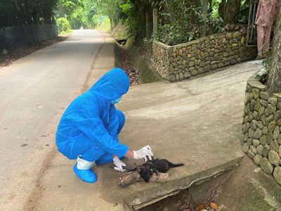 Chó dại cắn liên tiếp 5 người, 3 nạn nhân là trẻ em