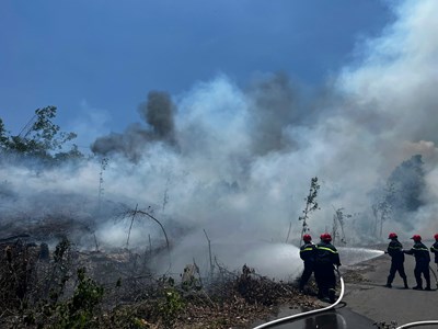 Dập tắt đám cháy gần Trung tâm hỏa táng An Phước Viên