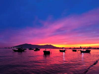Khám phá chợ hải sản lúc bình minh bên bờ biển Đà Nẵng