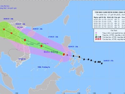 Đà Nẵng chủ động ứng phó bão số 10