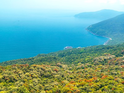 Mở cửa tham quan bán đảo Sơn Trà từ hôm nay