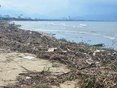 Bờ biển vịnh Đà Nẵng ngập rác sau mưa lũ