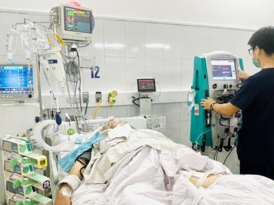 Nhiều người nhập viện vì rắn cắn 