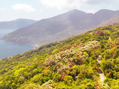 Đà Nẵng mở lại các tuyến tham quan, dã ngoại tại bán đảo Sơn Trà