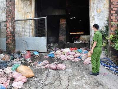 Phát hiện cơ sở chế biến mỡ động vật trái phép trong khu vực nghĩa trang 