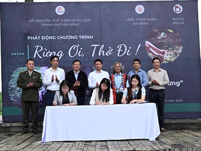 Chung tay trồng rừng bản địa gắn với du lịch sinh thái tại Đà Nẵng