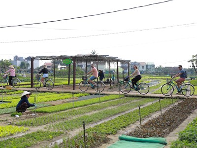  “Chạm về nguyên bản” để phát triển bền vững