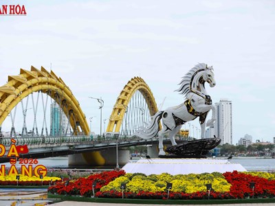 Ngắm dàn linh vật ngựa Tết Bính Ngọ 2026 bên sông Hàn