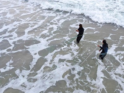 Nghề “đi giật lùi” mưu sinh mùa giáp Tết trên biển Đà Nẵng