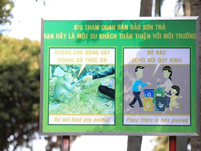 Ngăn chặn tình trạng cho khỉ ăn, xả rác tại Sơn Trà