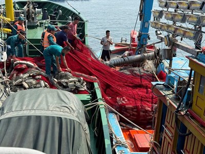 Tàu cá gặp nạn trên biển, 12 ngư dân được cứu hộ kịp thời