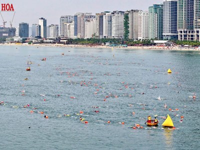 Gần 500 VĐV tranh tài Giải bơi biển “Vượt sóng mùa hè” Đà Nẵng 2026